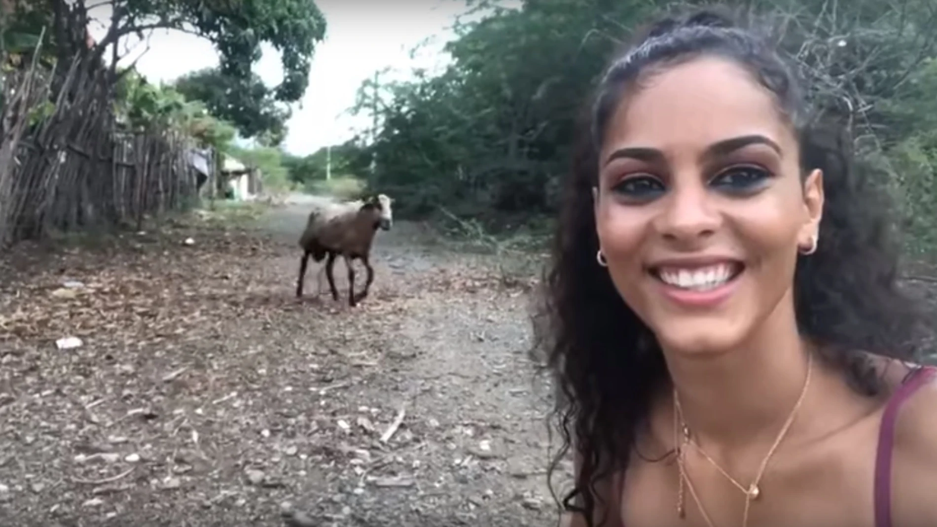 Una cabra embiste a una joven cuando se hace un 'selfie'