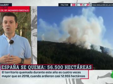 Raúl de la Calle: "Tenemos un problema muy grave de incendios por el cambio climático, la despoblación del medio rural y la falta de gestión" Raúl de la Calle: "Tenemos un problema muy grave de incendios por el cambio climático, la despoblación del medio rural y la falta de gestión"