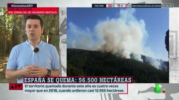 Raúl de la Calle: "Tenemos un problema muy grave de incendios por el cambio climático, la despoblación del medio rural y la falta de gestión"