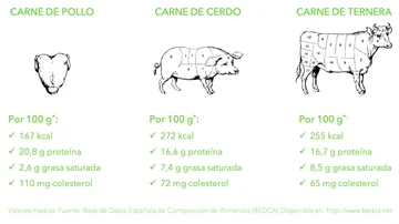 Alimentos de origen animal Alimentos de origen animal