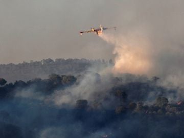 Incendio forestal en un paraje de la localidad sevillana de El Madroño Incendio forestal en un paraje de la localidad sevillana de El Madroño