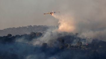 Incendio forestal en un paraje de la localidad sevillana de El Madroño