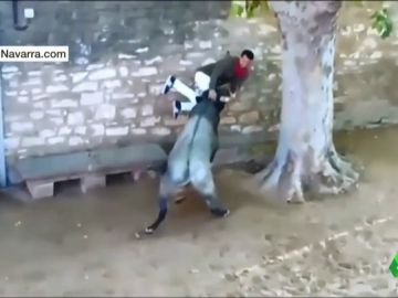 Momento en el que el joven ha sido embestido por el toro Momento en el que el joven ha sido embestido por el toro
