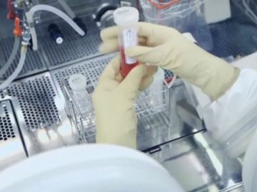 Imagen del gel de uso doméstico creado para elegir el sexo del bebé Imagen del gel de uso doméstico creado para elegir el sexo del bebé