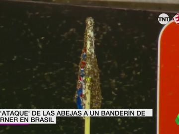 ABEJAS ABEJAS