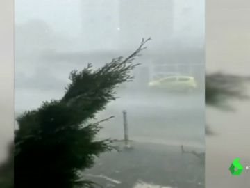 Imagen del súbito huracán que ha causado numerosos destrozos en Frrankfurt Imagen del súbito huracán que ha causado numerosos destrozos en Frrankfurt