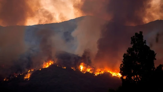Imagen del incendio en Estepona producido pocos días antes que el de Marbella. Imagen del incendio en Estepona producido pocos días antes que el de Marbella.