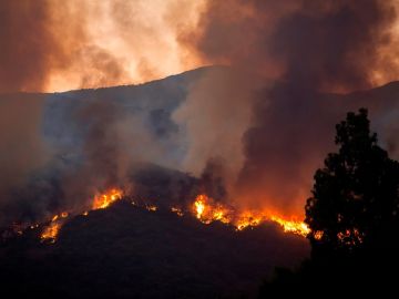 Imagen del incendio en Estepona producido pocos días antes que el de Marbella. Imagen del incendio en Estepona producido pocos días antes que el de Marbella.