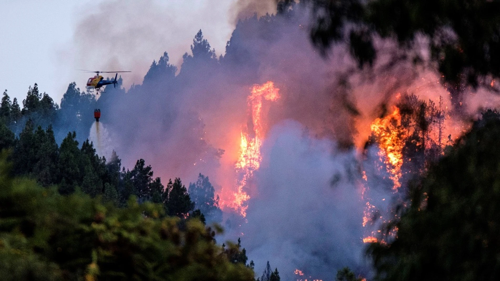Imagen del incendio de Gran Canaria