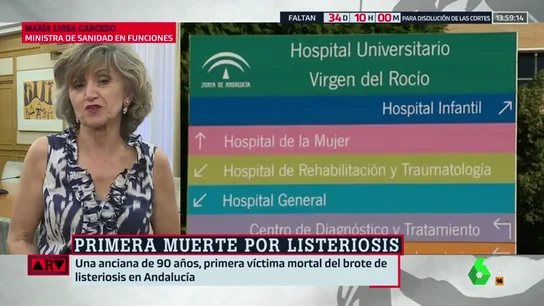 María Luisa Carcedo: María Luisa Carcedo: