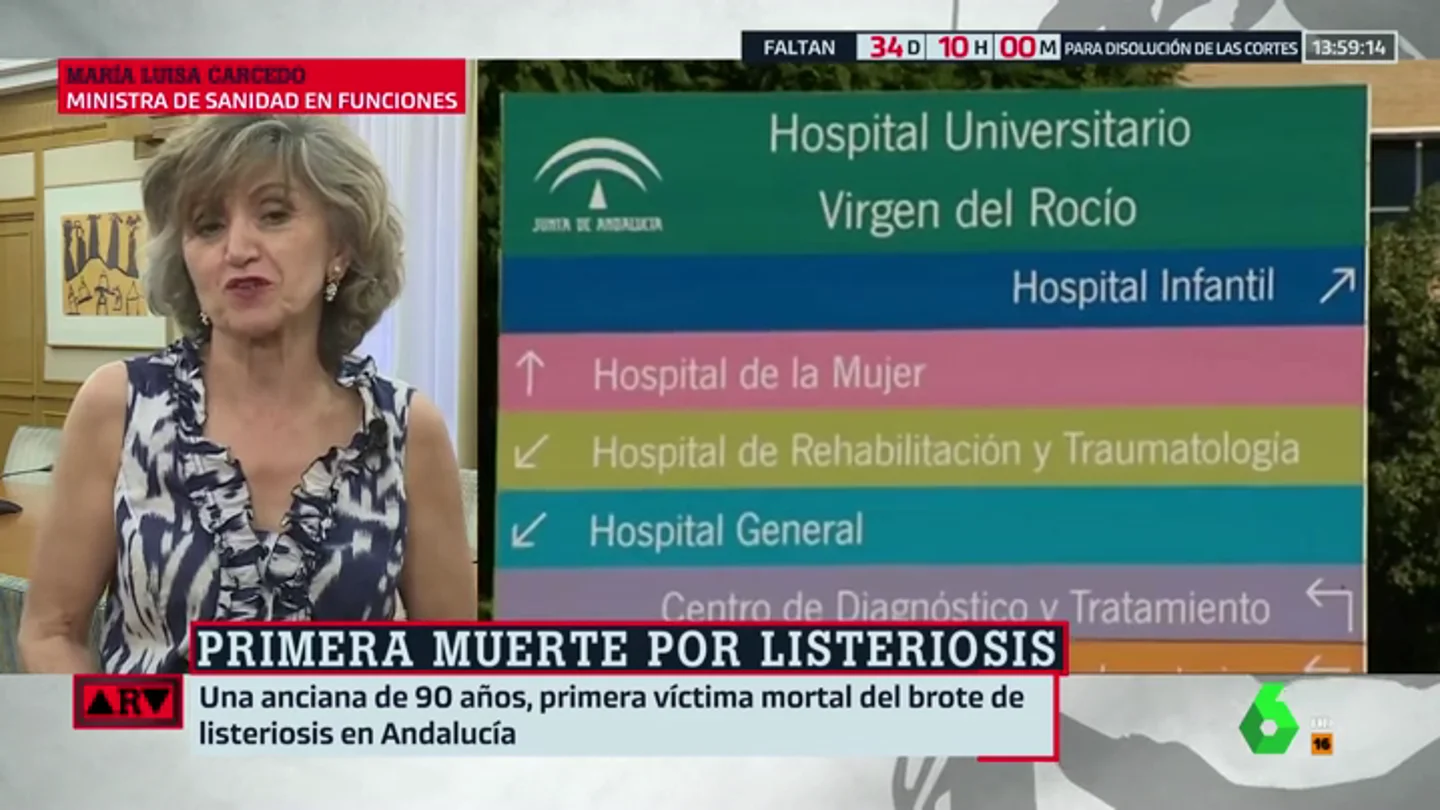 María Luisa Carcedo: María Luisa Carcedo:
