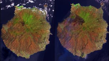 Las imágenes satelitales que muestran la evolución del incendio de Gran Canaria.