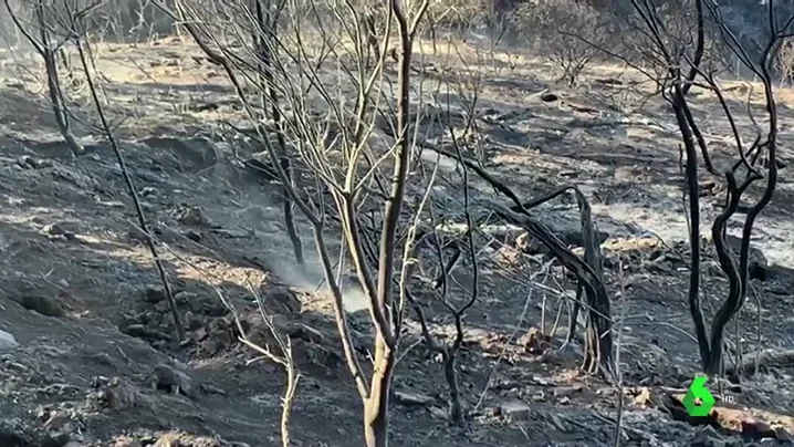 Imagen del incendio de Gran Canaria