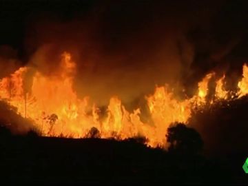 Cerca de 2.000 desalojados en Estepona por un incendio provocado al intentar quemar un avispero 