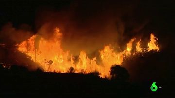 Cerca de 2.000 desalojados en Estepona por un incendio provocado al intentar quemar un avispero 