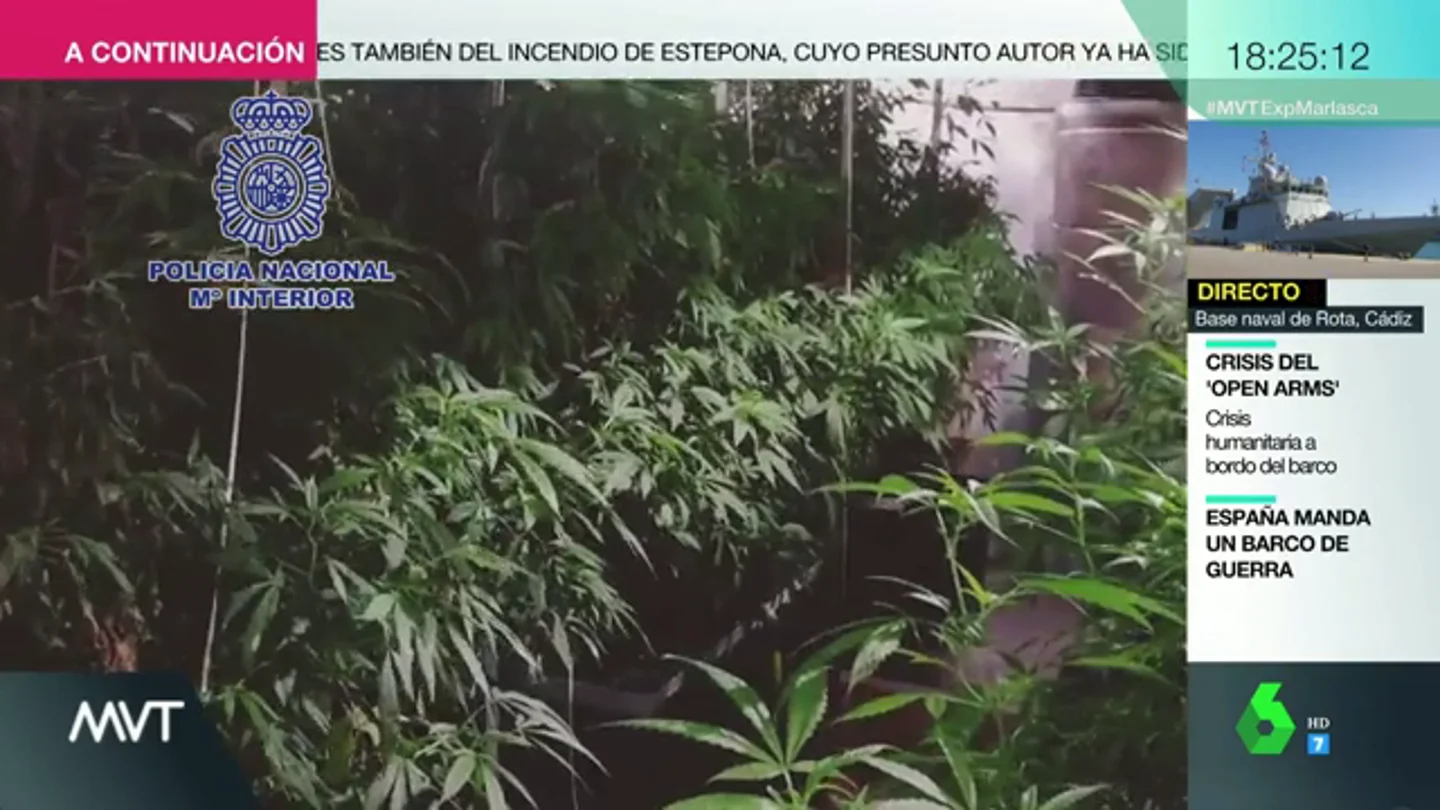 Así son los cultivos de marihuana que proliferan en España: la Policía ha desmantelado 300 desde febrero Así son los cultivos de marihuana que proliferan en España: la Policía ha desmantelado 300 desde febrero