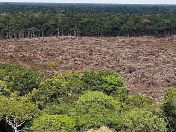 Foto de archivo del 28 de noviembre de 2013, de árboles talados en la selva amazónica (Brasil) Foto de archivo del 28 de noviembre de 2013, de árboles talados en la selva amazónica (Brasil)