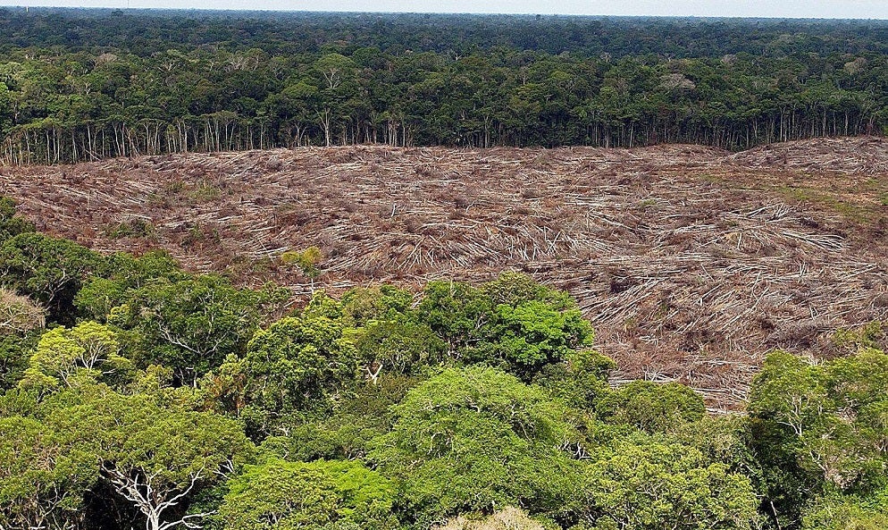 La deforestación en la Amazonia de Brasil destruye más de 5.000 kilómetros  cuadrados de bosques