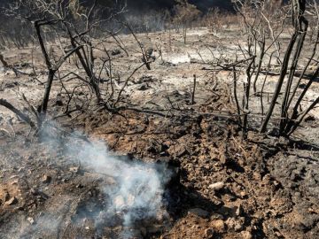 Incendios en Gran Canaria Incendios en Gran Canaria