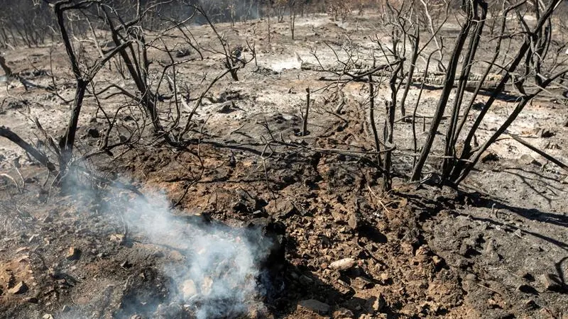 Incendios en Gran Canaria