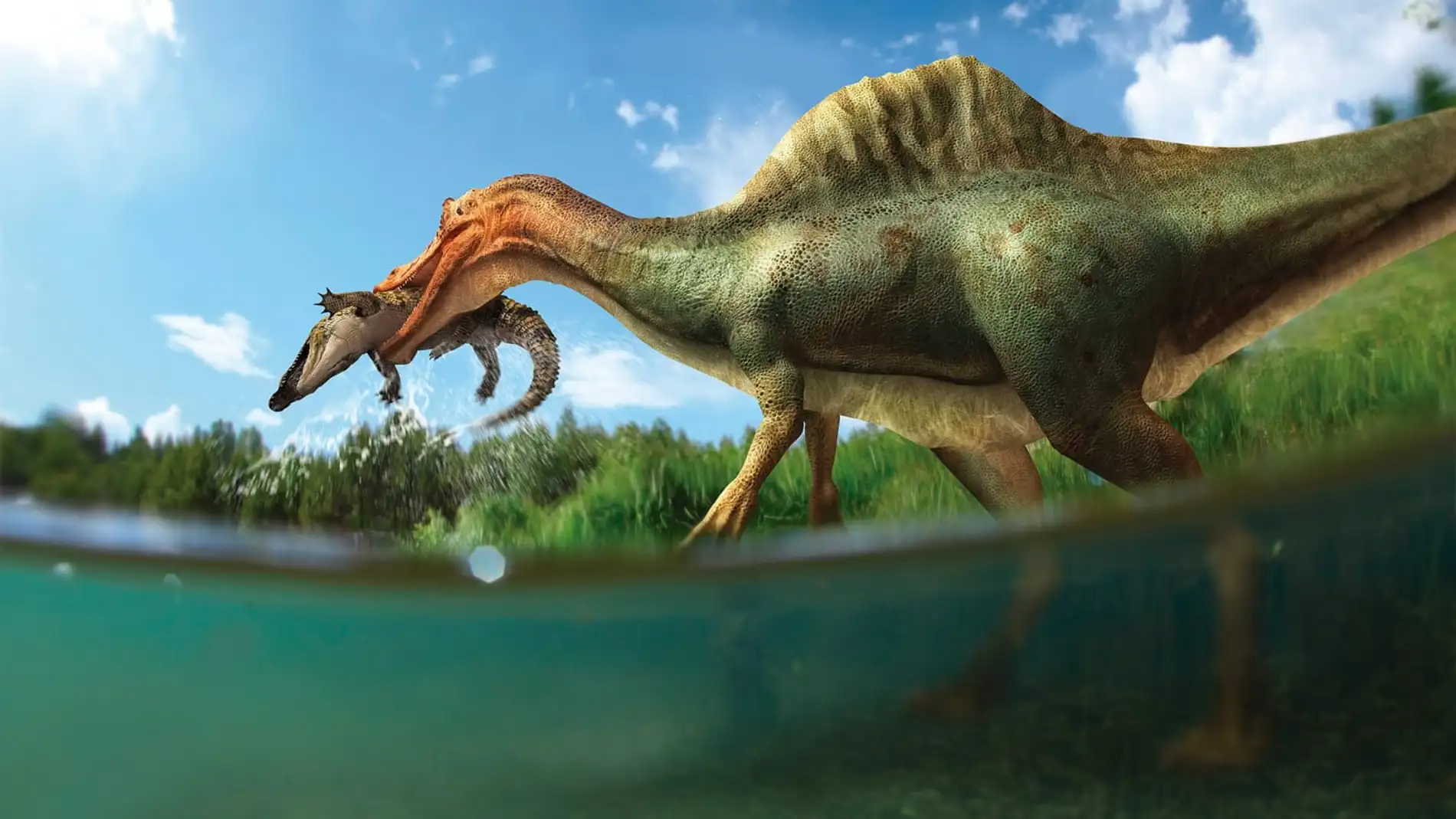 Vallibonavenatrix el primer dinosaurio espinosaurido de la peninsula iberica