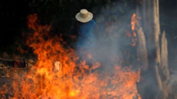 Incendios en el Amazonas