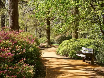 Banco en Richmond Park Banco en Richmond Park
