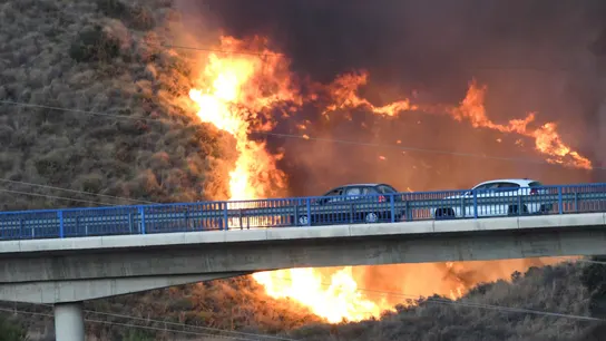 Imagen del incendio declarado en la zona de Altos de Marbella. Imagen del incendio declarado en la zona de Altos de Marbella.