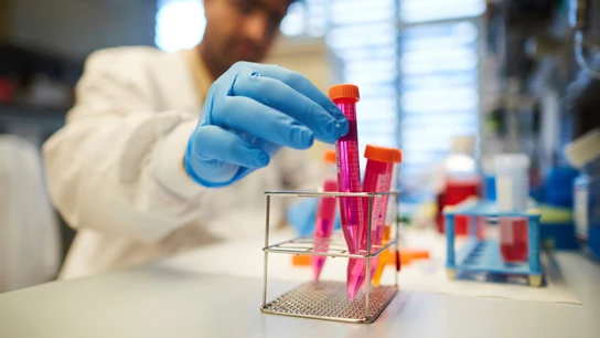 Descubren un fármaco que frena el cáncer de vejiga cuando iba a ser retirado Descubren un fármaco que frena el cáncer de vejiga cuando iba a ser retirado