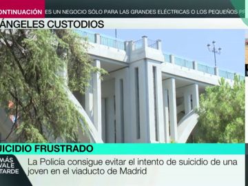 La Policía evita el intento de suicidio de una joven en el viaducto de Madrid La Policía evita el intento de suicidio de una joven en el viaducto de Madrid