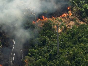 Vista aérea de varias columnas de humo en la selva amazónica de Porto Velho, Rondonia Vista aérea de varias columnas de humo en la selva amazónica de Porto Velho, Rondonia