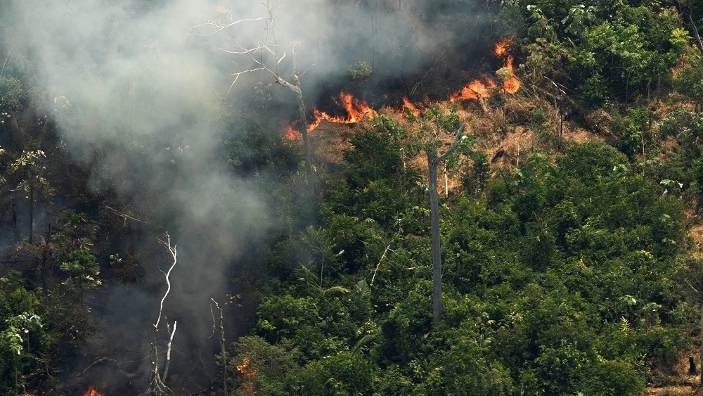 Vista aérea de varias columnas de humo en la selva amazónica de Porto Velho, Rondonia.