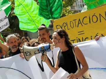 Protesta por los fuegos del Amazonas en España Protesta por los fuegos del Amazonas en España