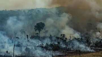 El humo cubre la Amazonia