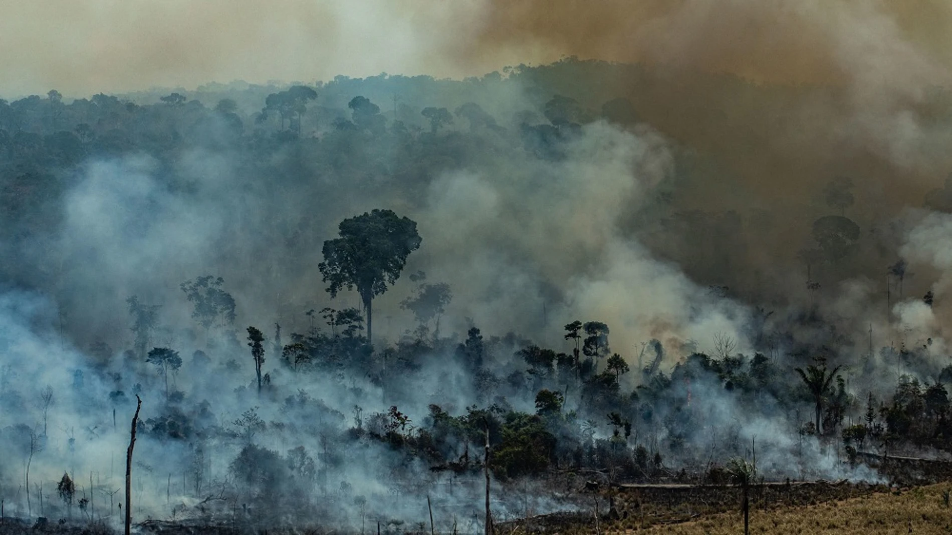 El humo cubre la Amazonia