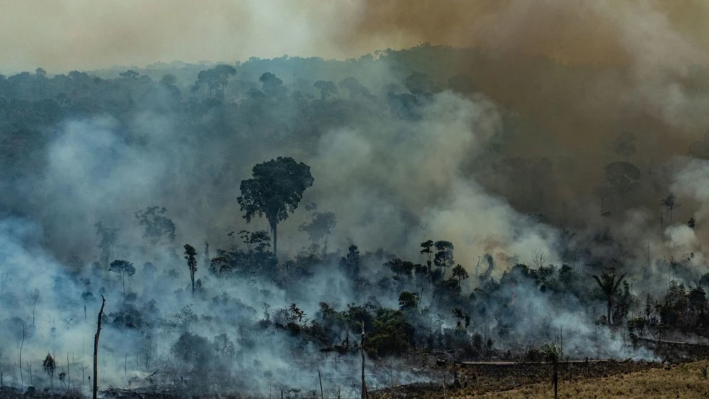 El humo cubre la Amazonia. 