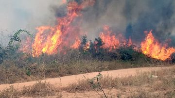 Uno de los incendios que azotan la amazonía brasileña, en Porto Velho