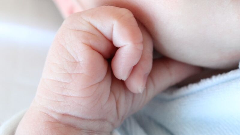 Una inmunoterapia mejora el pronóstico de los bebés con un tipo de leucemia