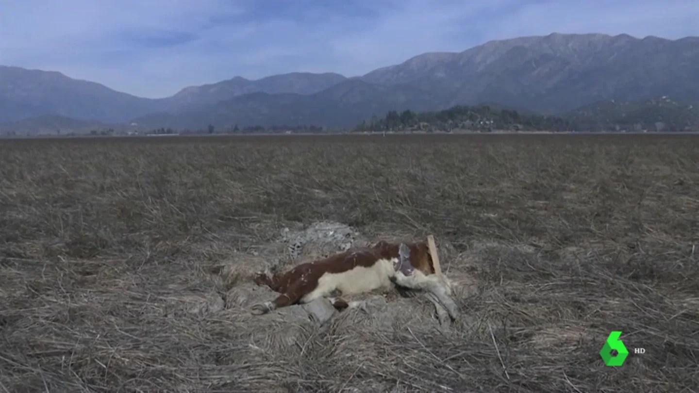 Chile atraviesa su peor sequía en décadas y el Gobierno declara la emergencia agrícola Chile atraviesa su peor sequía en décadas y el Gobierno declara la emergencia agrícola