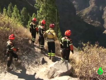 El incendio de Gran Canaria, casi controlado tras quemar 9.200 hectáreas El incendio de Gran Canaria, casi controlado tras quemar 9.200 hectáreas