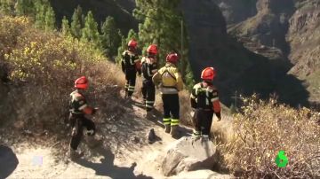 El incendio de Gran Canaria, casi controlado tras quemar 9.200 hectáreas