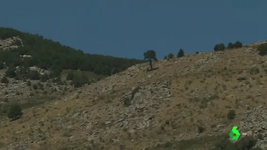 Las imágenes de la ladera donde se encontró el cadáver de Blanca Fernández Ochoa Las imágenes de la ladera donde se encontró el cadáver de Blanca Fernández Ochoa
