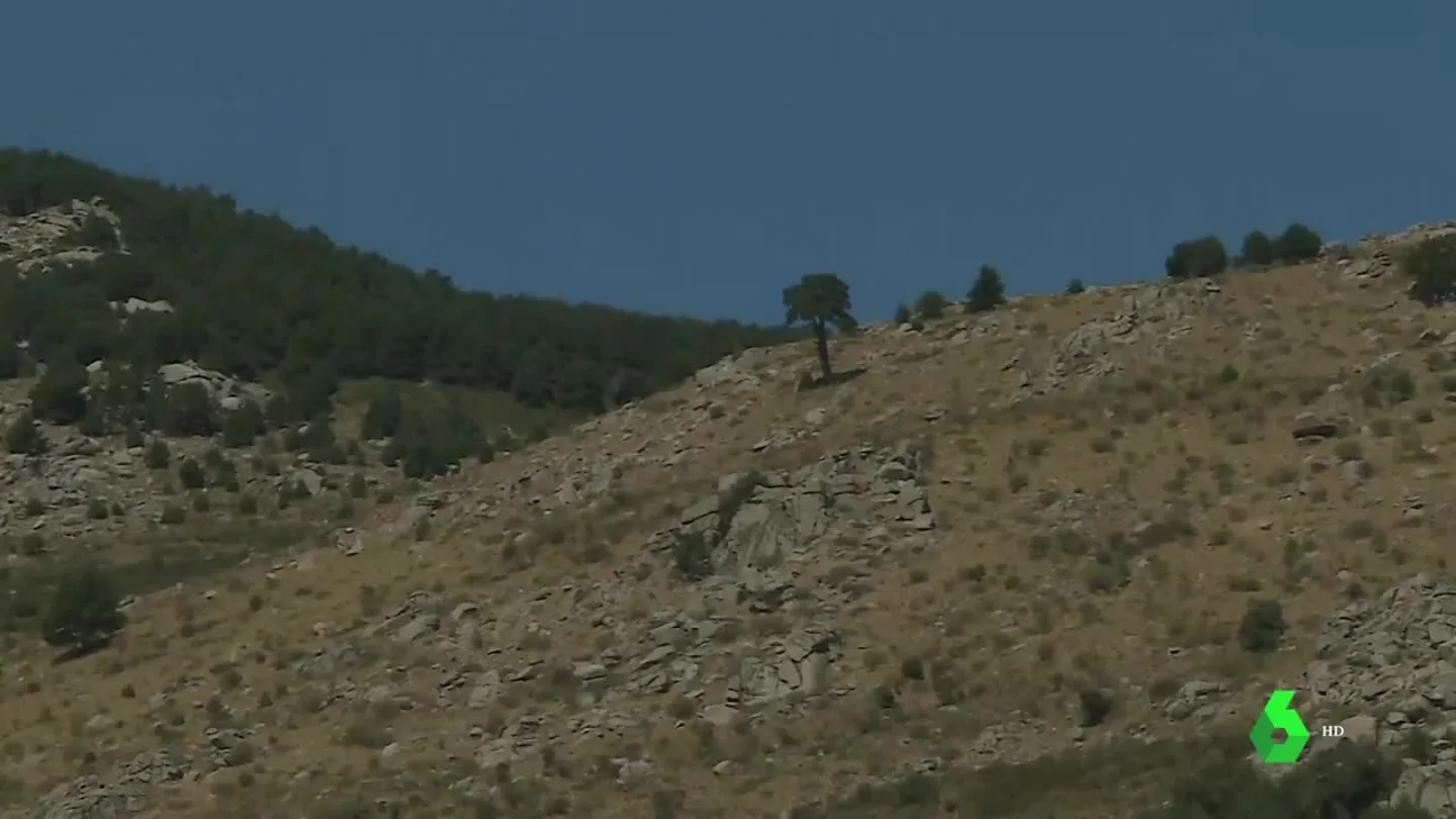Las imágenes de la ladera donde se encontró el cadáver de Blanca Fernández Ochoa Las imágenes de la ladera donde se encontró el cadáver de Blanca Fernández Ochoa