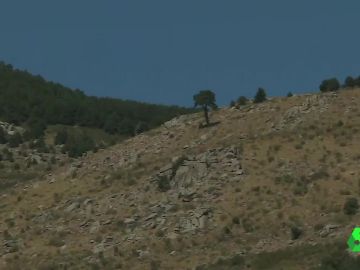 Las imágenes de la ladera donde se encontró el cadáver de Blanca Fernández Ochoa Las imágenes de la ladera donde se encontró el cadáver de Blanca Fernández Ochoa