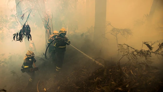 Un grupo de bomberos trabaja en las labores de extinción del incendio forestal declarado este jueves en la localidad coruñesa de Porto do Son. Un grupo de bomberos trabaja en las labores de extinción del incendio forestal declarado este jueves en la localidad coruñesa de Porto do Son.