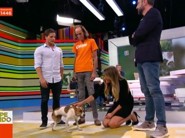 Gotzon Mantuliz se estrena en Zapeando con Esperanza, una perrita abandonada y sin una pata que por fin tiene un hogar Gotzon Mantuliz se estrena en Zapeando con Esperanza, una perrita abandonada y sin una pata que por fin tiene un hogar