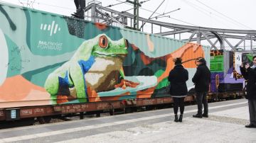 Tren de Noé