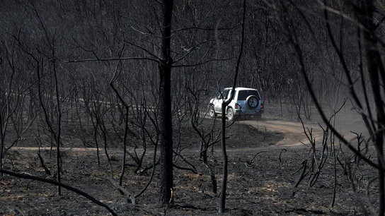Un coche circula por un monte devastado por las llamas en Mañente, Monforte Un coche circula por un monte devastado por las llamas en Mañente, Monforte