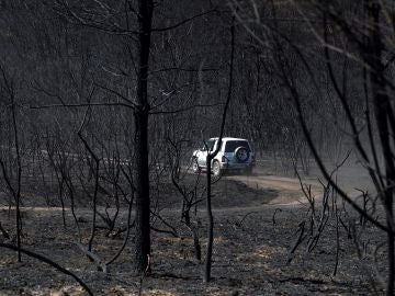 Un coche circula por un monte devastado por las llamas en Mañente, Monforte Un coche circula por un monte devastado por las llamas en Mañente, Monforte
