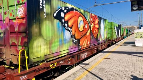 Tren de Noé
